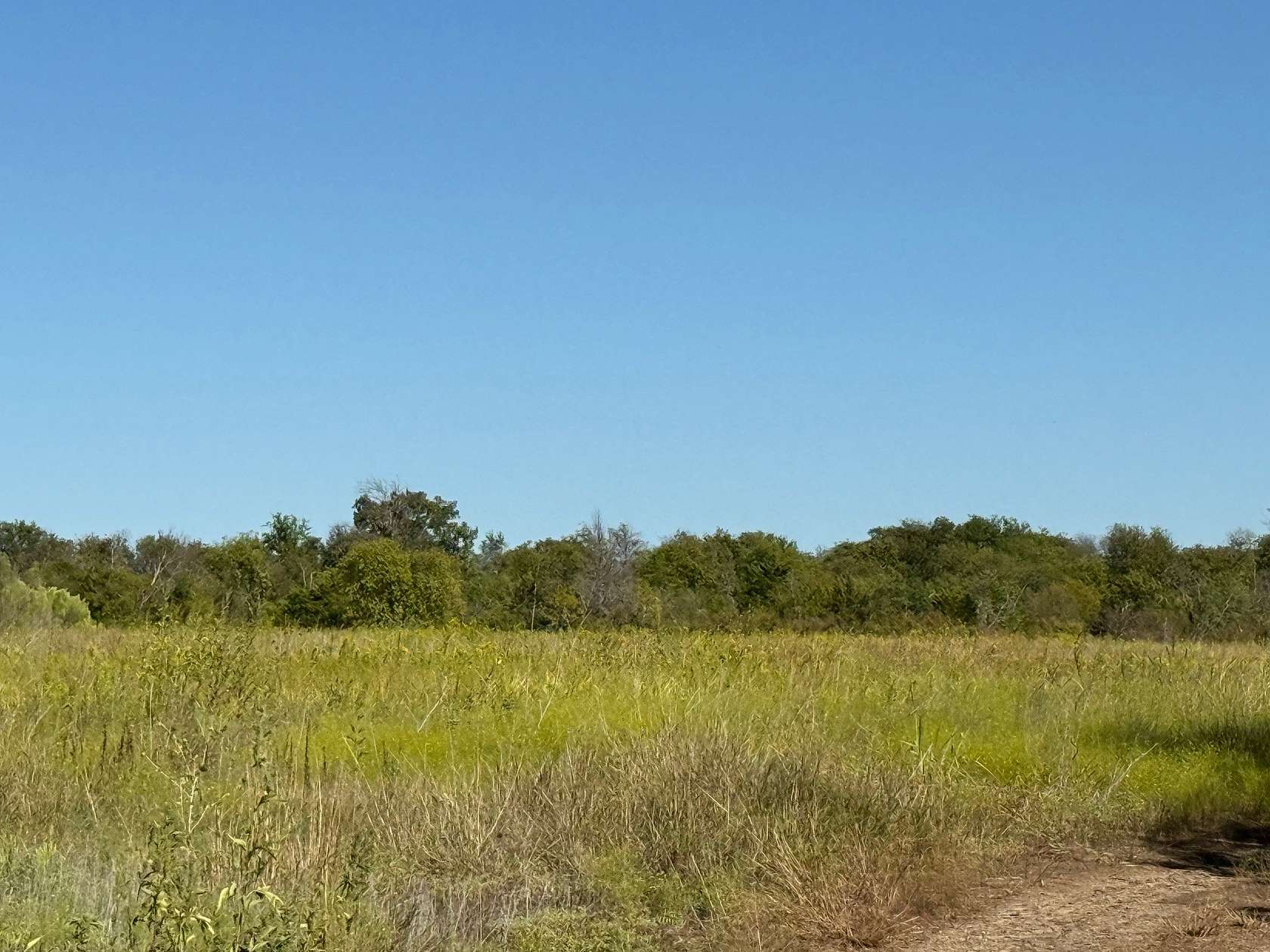 20.5 Acres of Land for Sale in Hillsboro, Texas