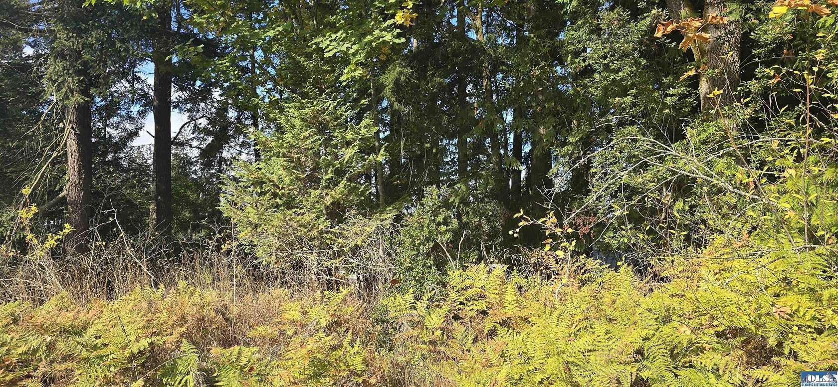 0.2 Acres of Residential Land for Sale in Port Angeles, Washington