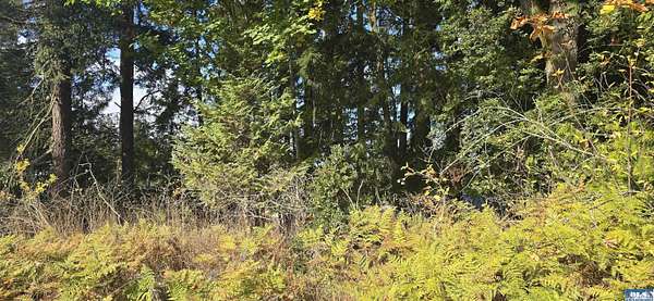 0.2 Acres of Residential Land for Sale in Port Angeles, Washington