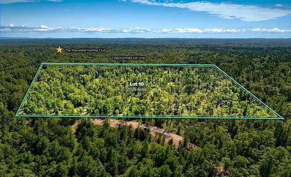 20.2 Acres of Recreational Land for Sale in Prescott, Michigan