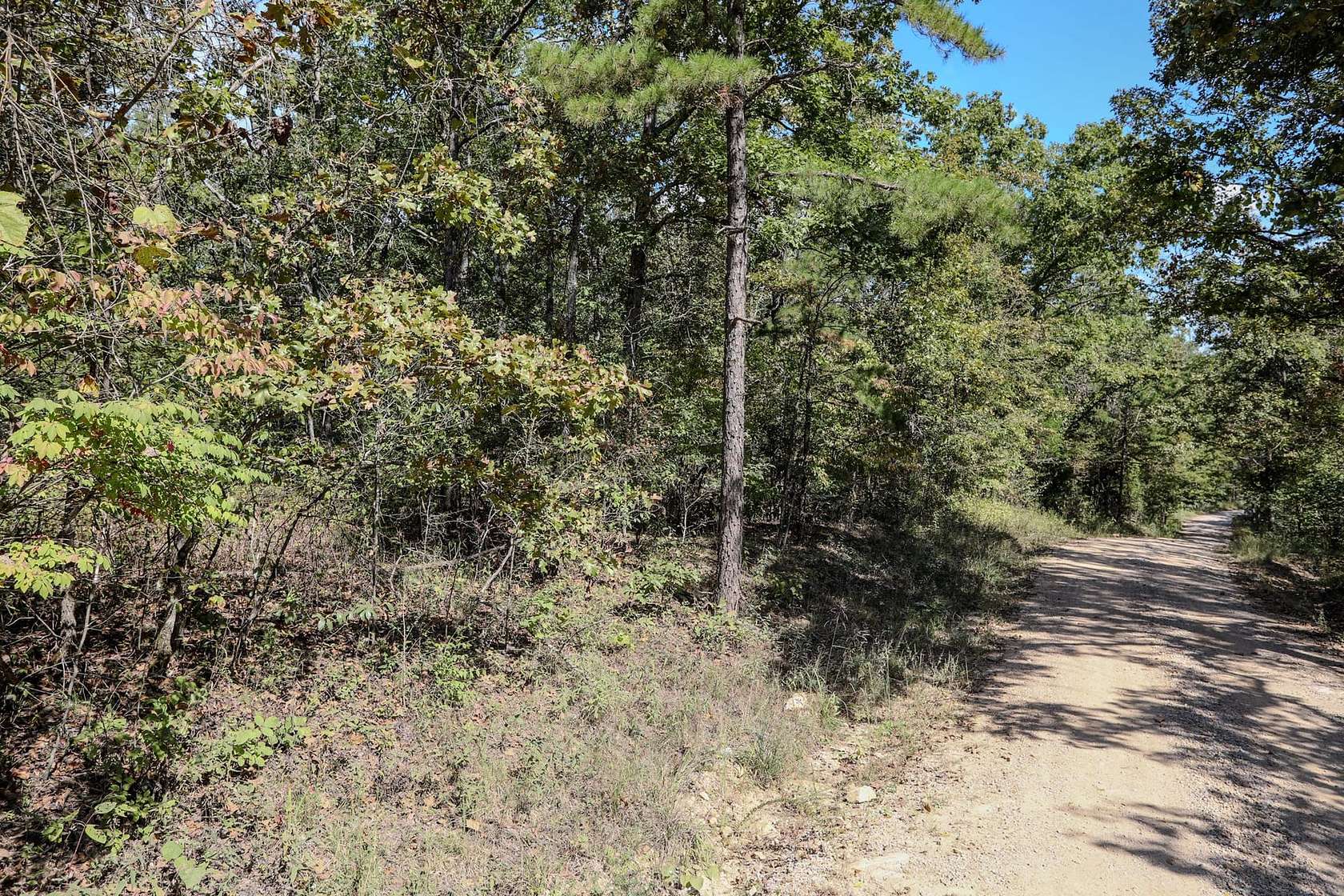 232 Acres of Recreational Land for Sale in Greenville, Missouri
