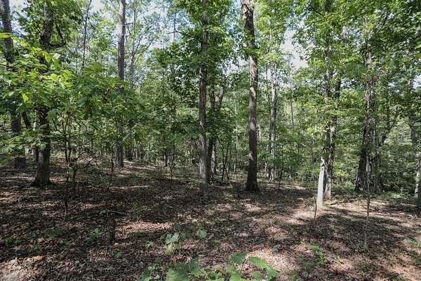 89.6 Acres of Recreational Land for Sale in Greenville, Missouri