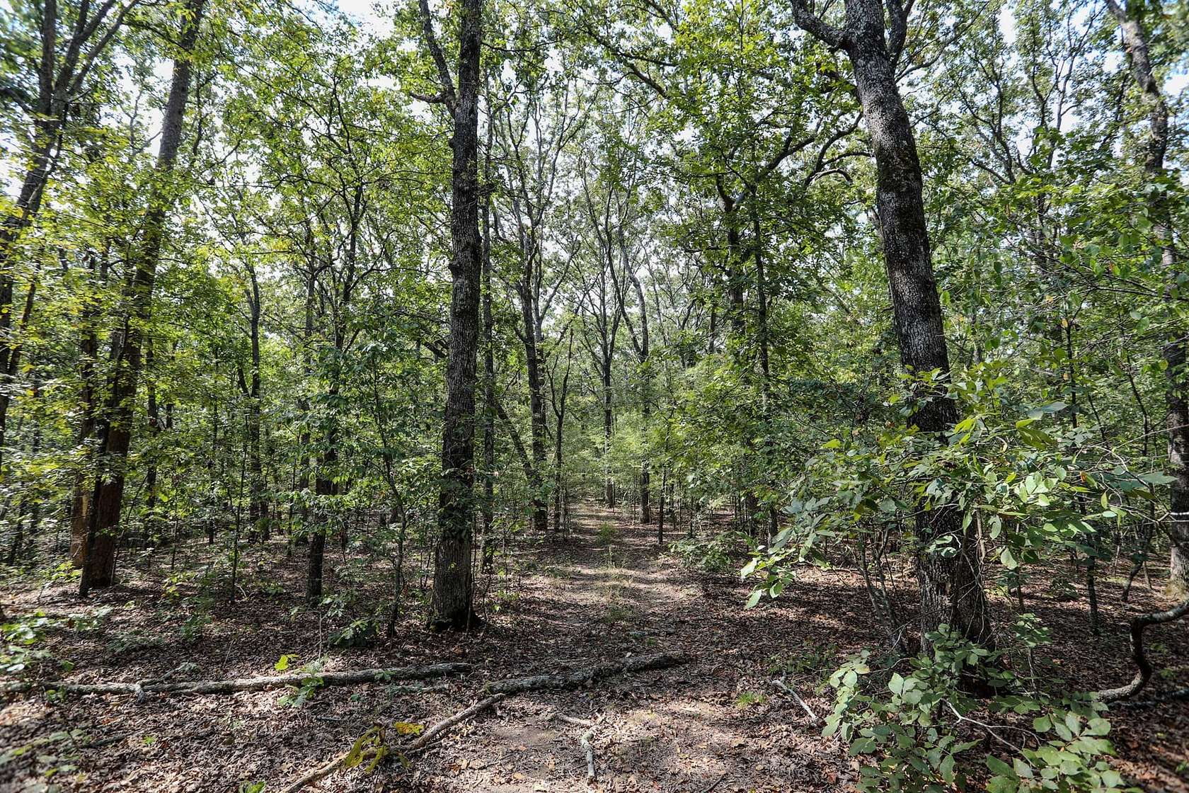 65.8 Acres of Recreational Land for Sale in Greenville, Missouri