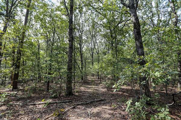 65.8 Acres of Recreational Land for Sale in Greenville, Missouri