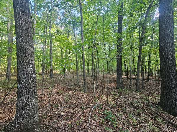 12 Acres of Recreational & Residential Land for Sale in Altoona, Alabama