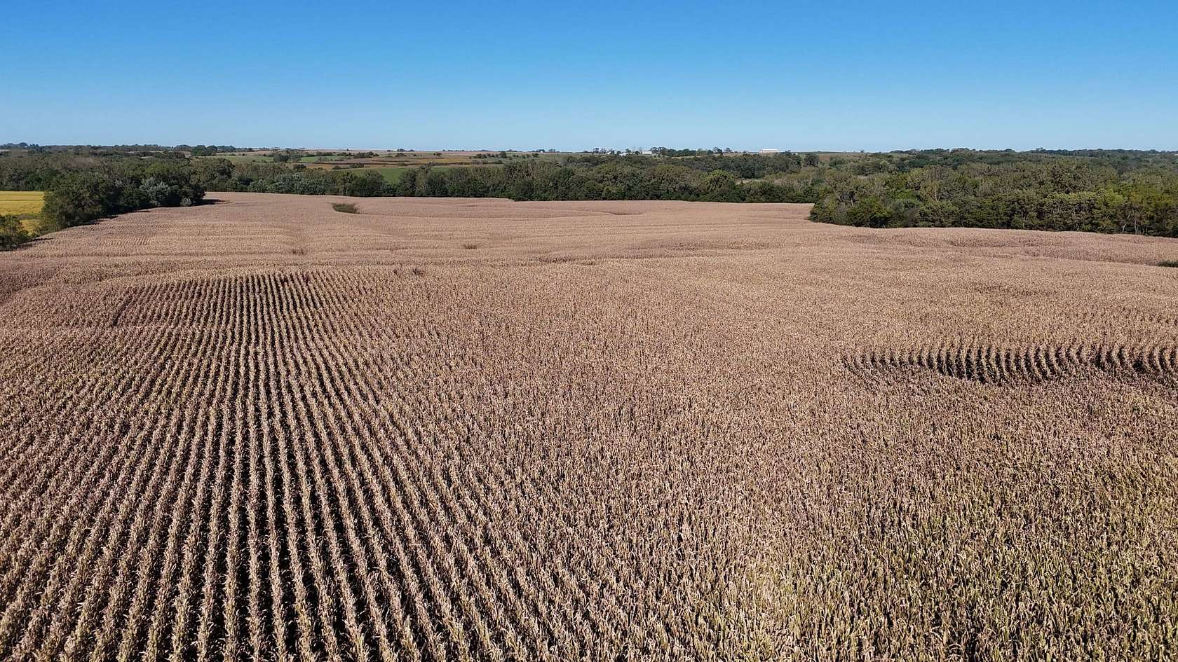83.3 Acres of Land for Sale in Mount Ayr, Iowa