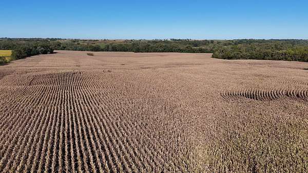 83.3 Acres of Land for Sale in Mount Ayr, Iowa