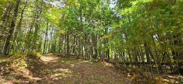 5 Acres of Residential Land for Sale in Narrowsburg, New York