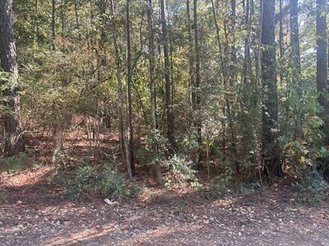 0.75 Acres of Residential Land for Sale in Many, Louisiana
