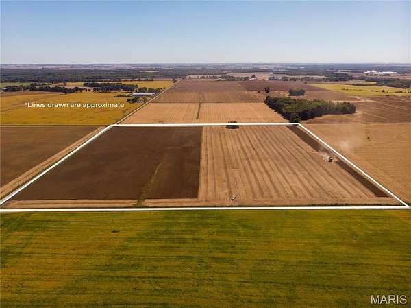 40 Acres of Agricultural Land for Auction in Carlyle, Illinois