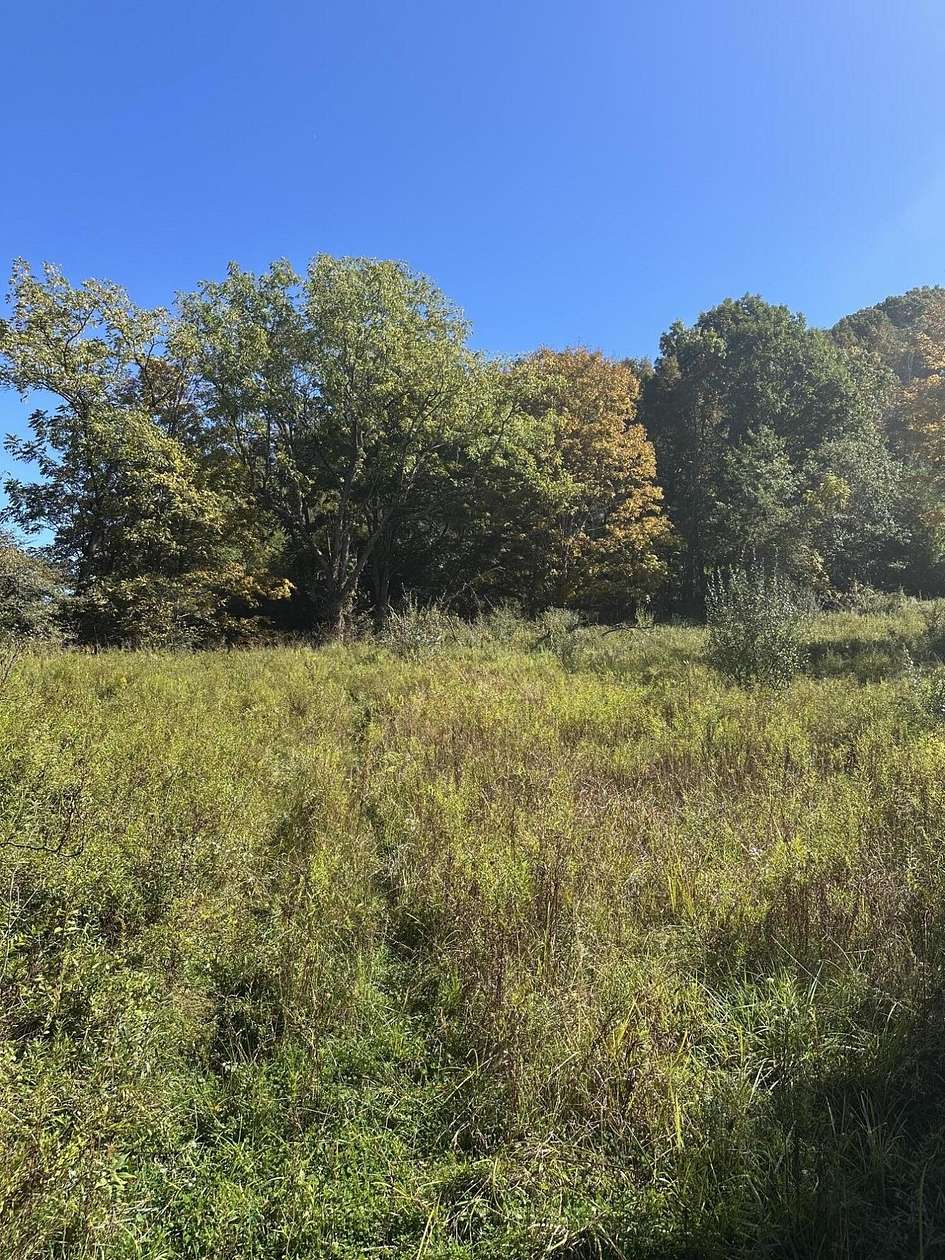 68.4 Acres of Recreational & Residential Land for Sale in Crawley, West Virginia
