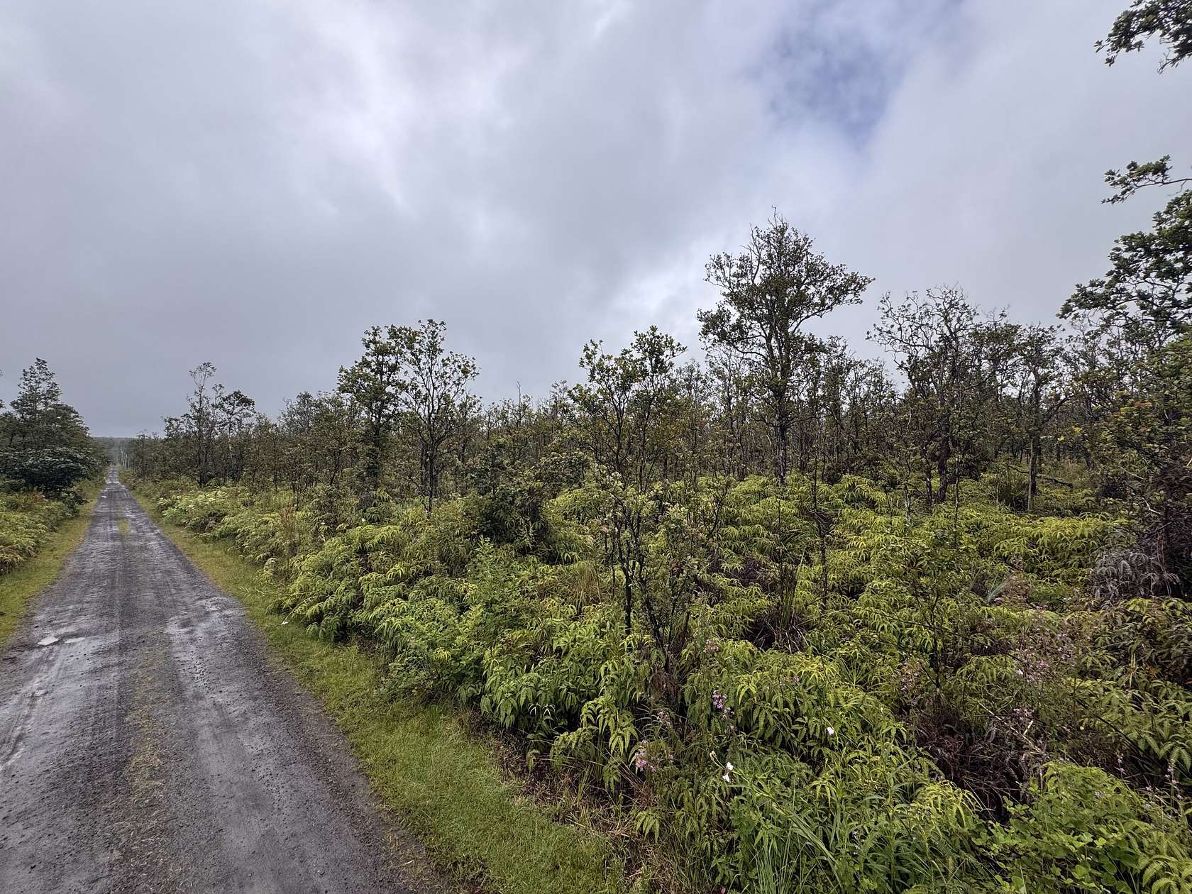 3 Acres of Residential Land for Sale in Volcano, Hawaii