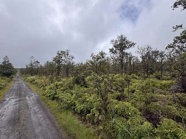 3 Acres of Residential Land for Sale in Volcano, Hawaii