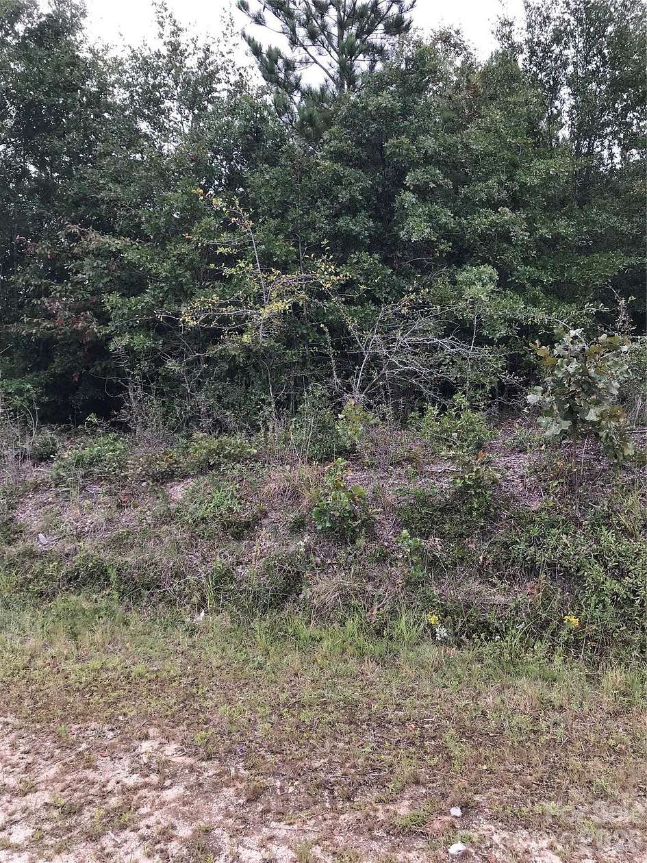 19 Acres of Land for Sale in Kershaw, South Carolina