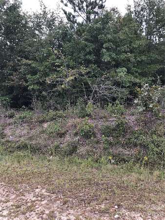 19 Acres of Land for Sale in Kershaw, South Carolina