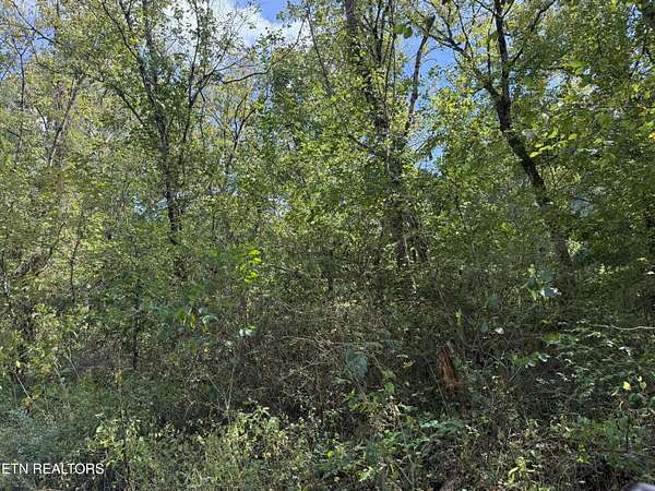 0.29 Acres of Residential Land for Sale in La Follette, Tennessee