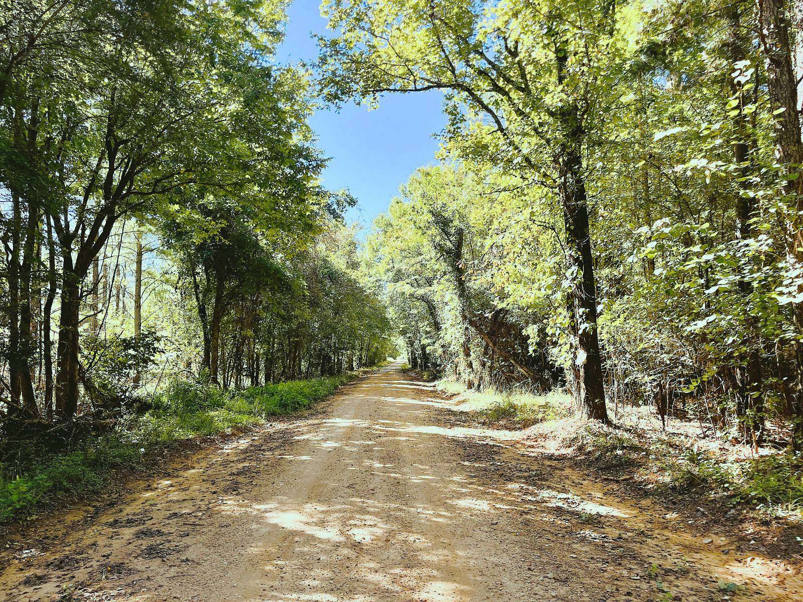 152 Acres of Recreational Land for Sale in Edgefield, South Carolina
