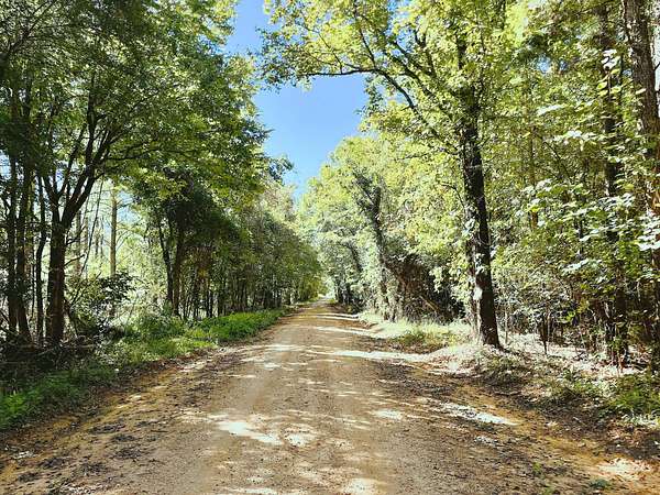 152 Acres of Recreational Land for Sale in Edgefield, South Carolina