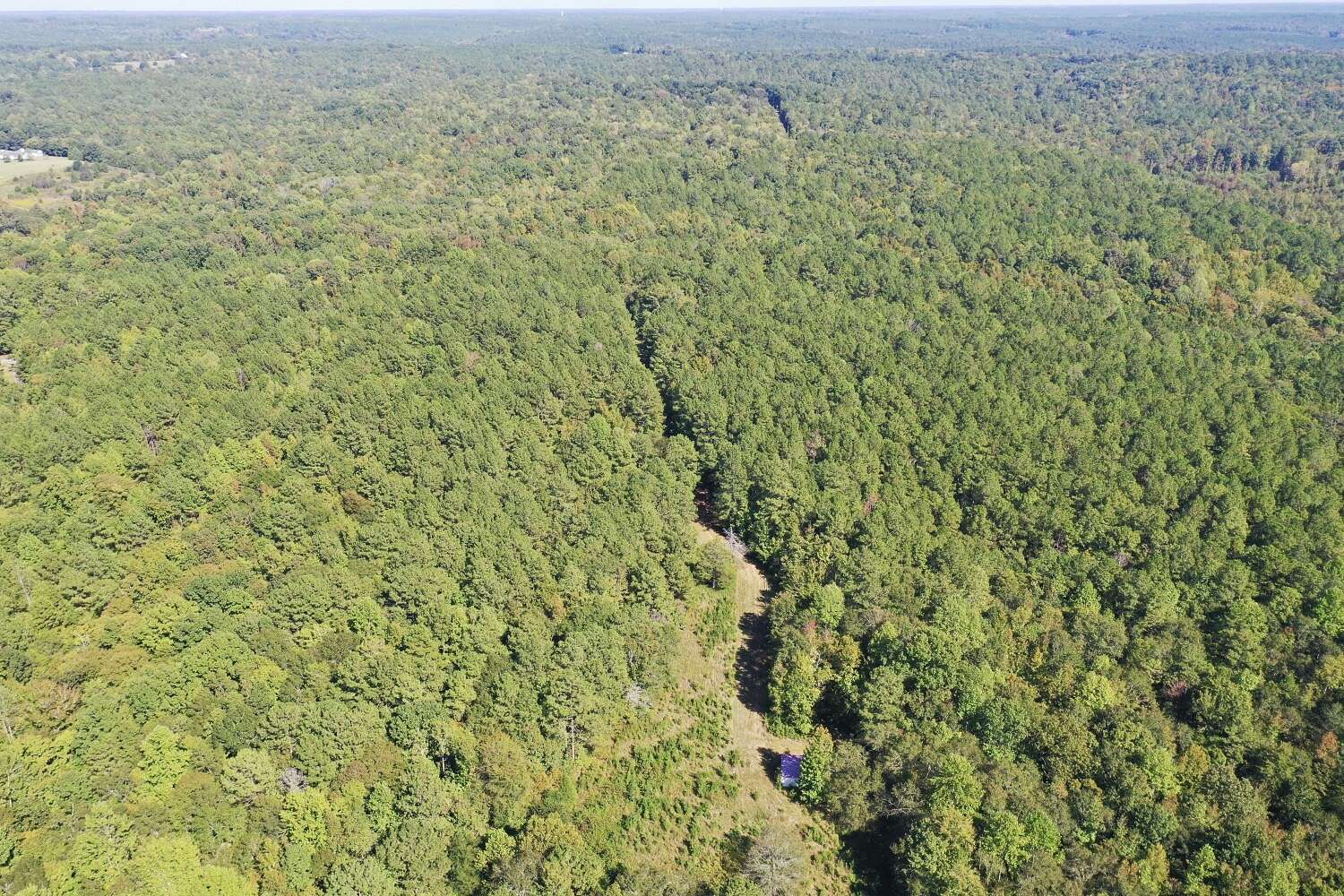 24 Acres of Recreational & Residential Land for Sale in Waterloo, South Carolina