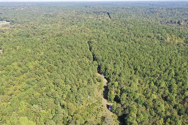 24 Acres of Recreational & Residential Land for Sale in Waterloo, South Carolina