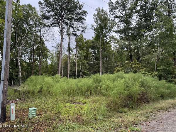 0.34 Acres of Land for Sale in Blounts Creek, North Carolina
