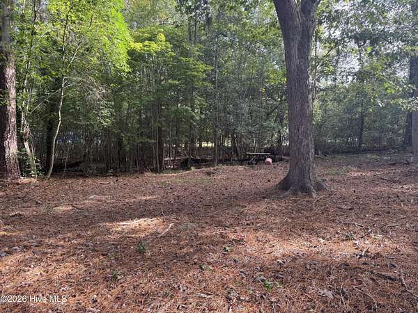 0.34 Acres of Land for Sale in Blounts Creek, North Carolina