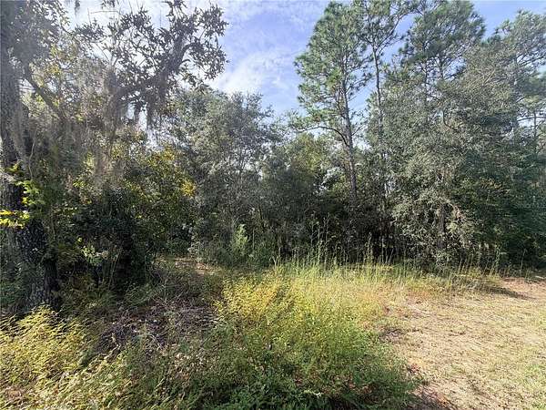 0.31 Acres of Land for Sale in Inverness, Florida