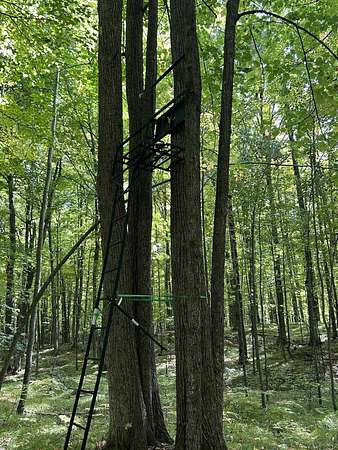 40.2 Acres of Recreational Land for Sale in Wausaukee, Wisconsin