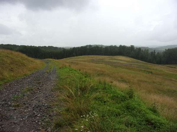 34.5 Acres of Land for Sale in Buckhannon, West Virginia