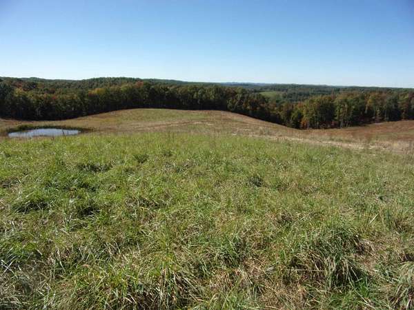 34.5 Acres of Land for Sale in Buckhannon, West Virginia