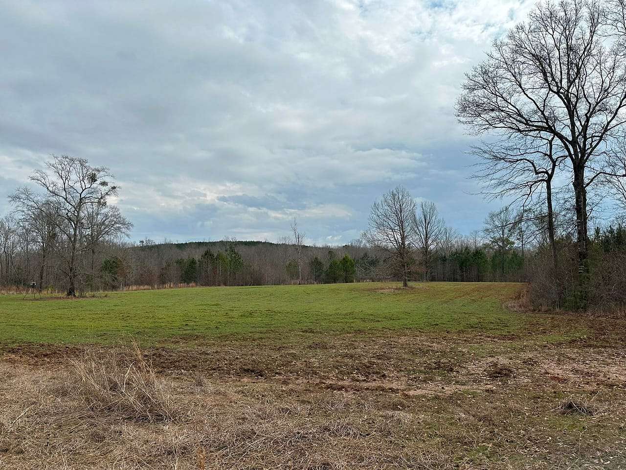 575 Acres of Land for Sale in Toomsboro, Georgia