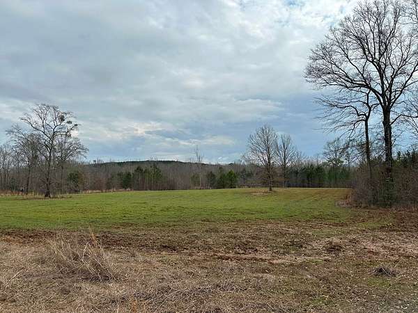 575 Acres of Land for Sale in Toomsboro, Georgia