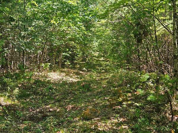 4 Acres of Residential Land for Sale in Steep Falls, Maine