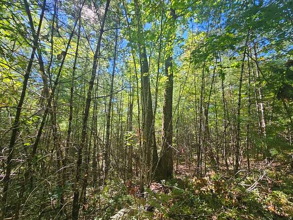 3.22 Acres of Residential Land for Sale in Steep Falls, Maine