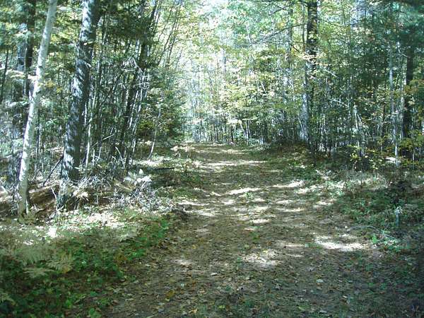 40 Acres of Recreational Land for Sale in Park Falls, Wisconsin