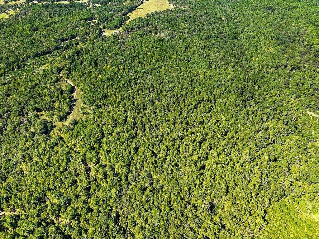 88 Acres of Recreational Land for Sale in Elkhart, Texas