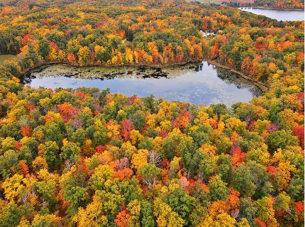 37 Acres of Recreational & Residential Land for Sale in Garrison, Minnesota