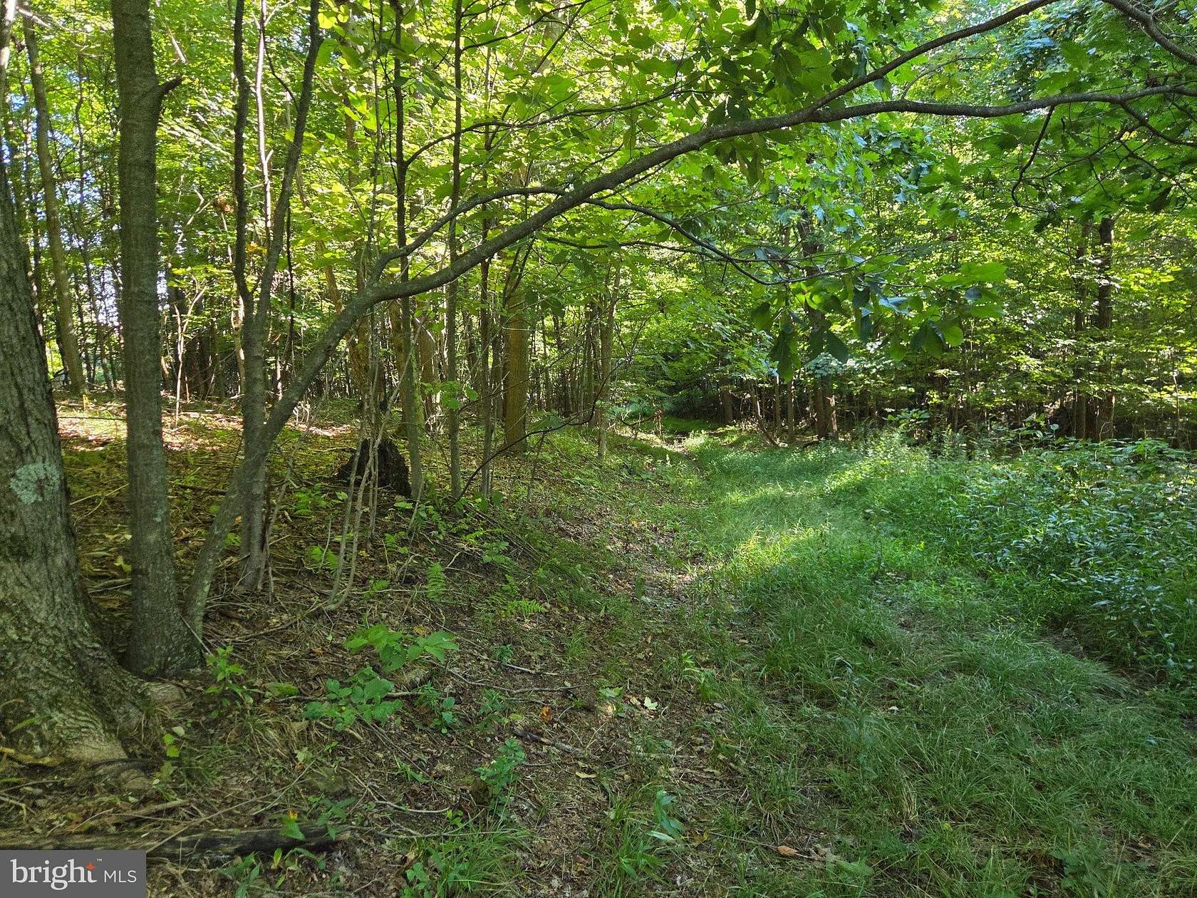 88 Acres of Recreational Land for Sale in Commodore, Pennsylvania