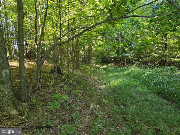 88 Acres of Recreational Land for Sale in Commodore, Pennsylvania