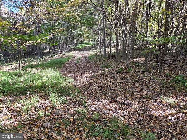88 Acres of Recreational Land for Sale in Commodore, Pennsylvania