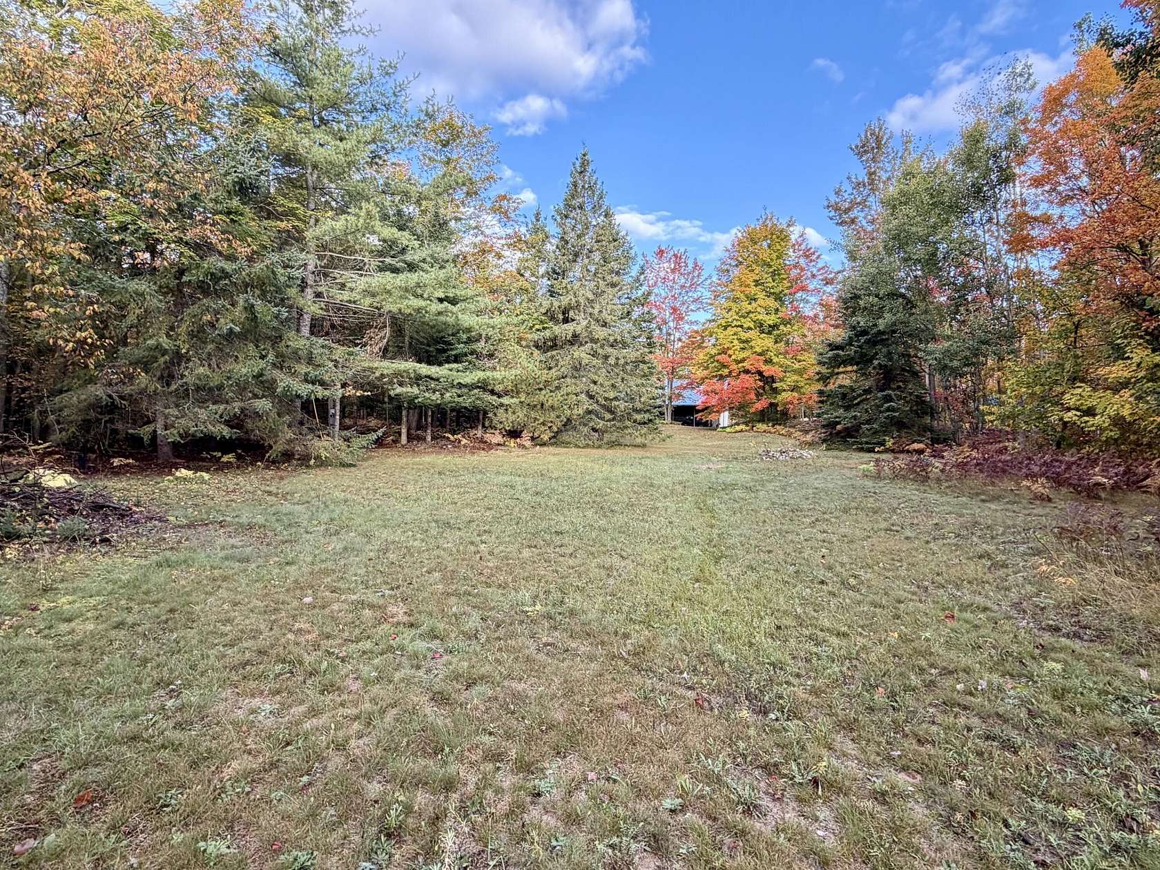 5 Acres of Land for Sale in Vanderbilt, Michigan