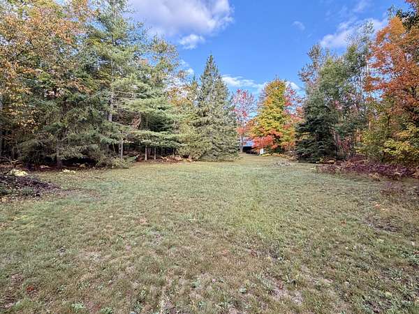 5 Acres of Land for Sale in Vanderbilt, Michigan