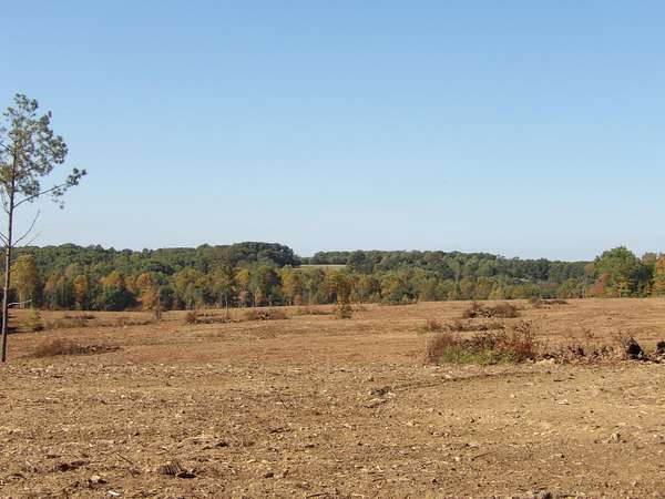 25 Acres of Recreational Land for Sale in Evensville, Tennessee