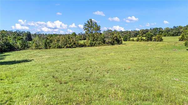 65 Acres of Recreational & Residential Land for Sale in Dover, Arkansas