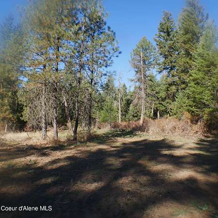 40 Acres of Recreational & Residential Land for Sale in Harrison, Idaho