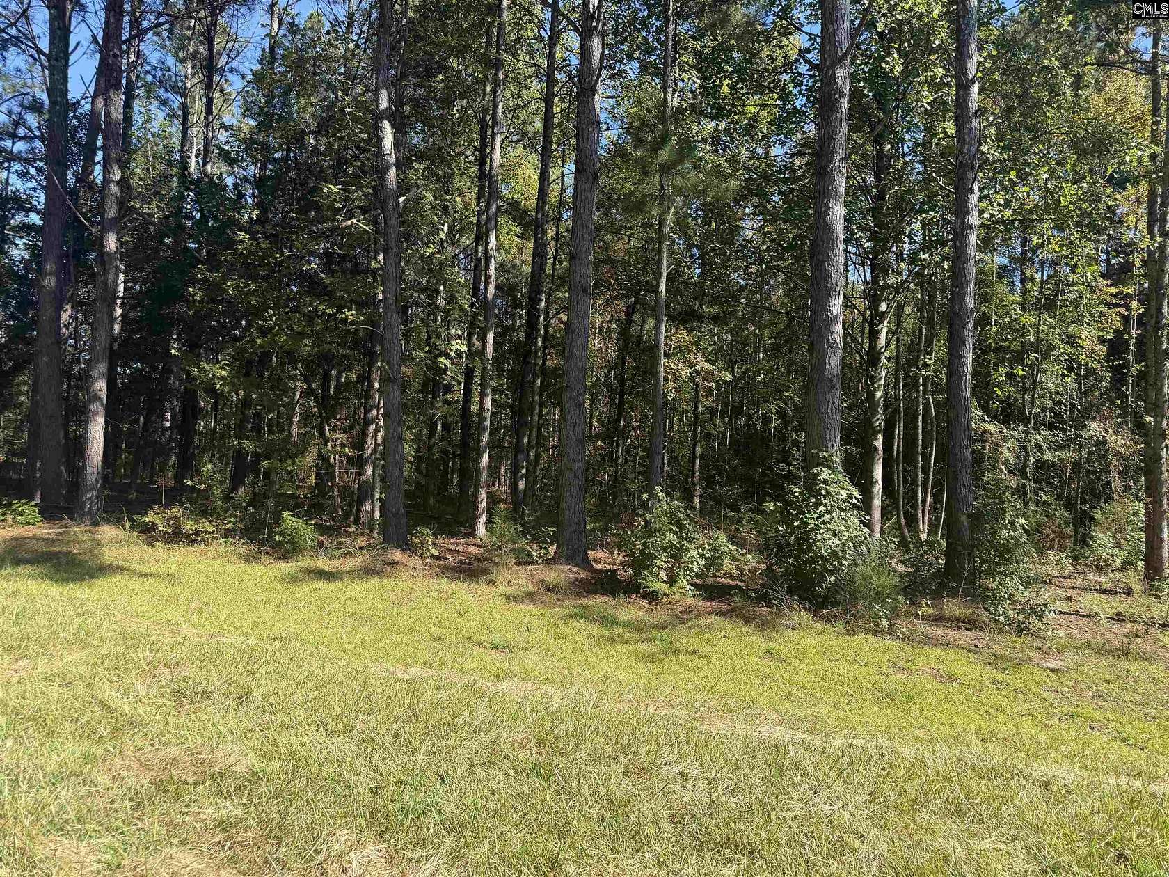 6 Acres of Land for Sale in Kinards, South Carolina