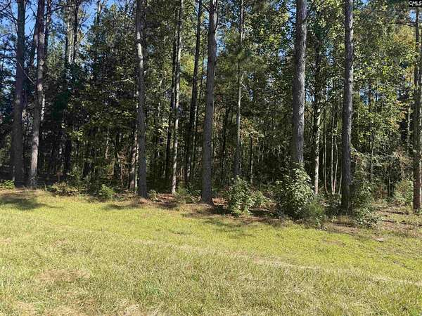 6 Acres of Land for Sale in Kinards, South Carolina
