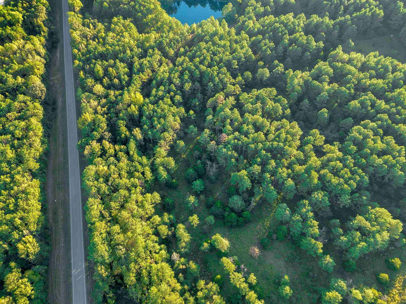 3.4 Acres of Residential Land for Sale in Eldridge, Alabama