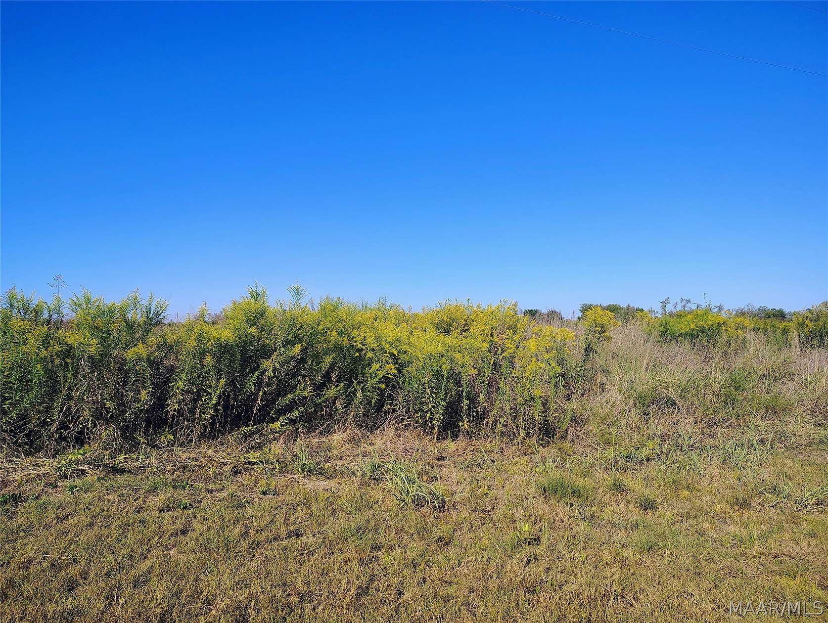 1 Acre of Residential Land for Sale in Lowndesboro, Alabama