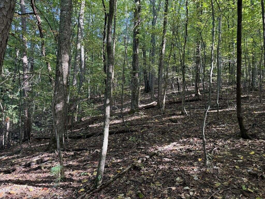 1 Acre of Residential Land for Sale in Ellijay, Georgia